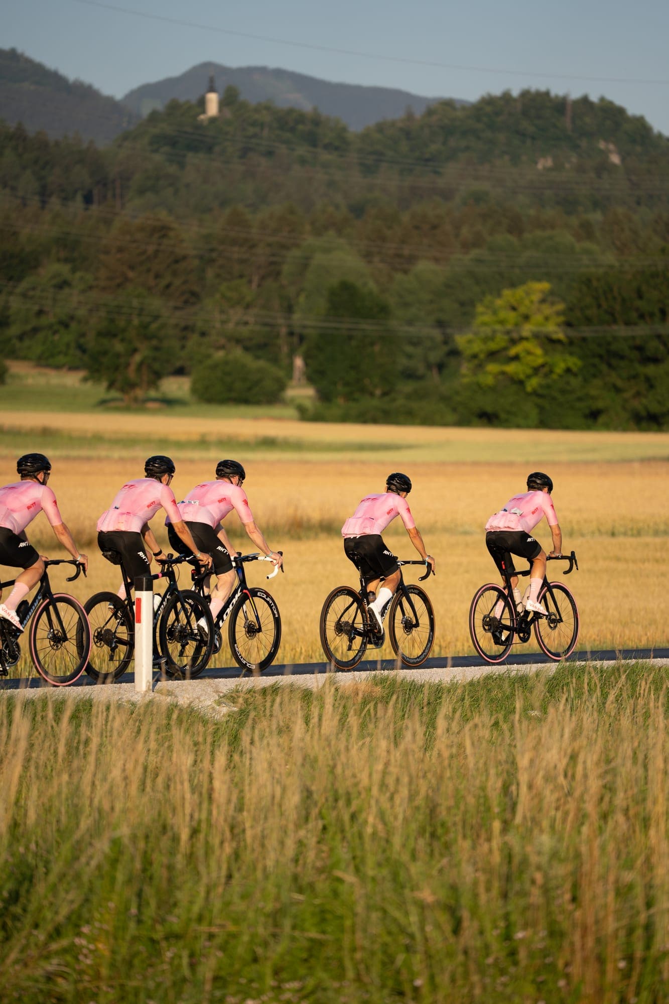 Peloton in rosa Trikots fährt an einem Kornfeld vorbei